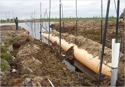 Pipeline settlement caused by permafrost thawing